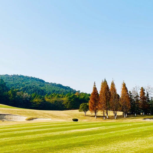 /upload/ilsungtour/image/tourinfo/CN/NKG/ilsungtour_ti0120_30008918.jpg