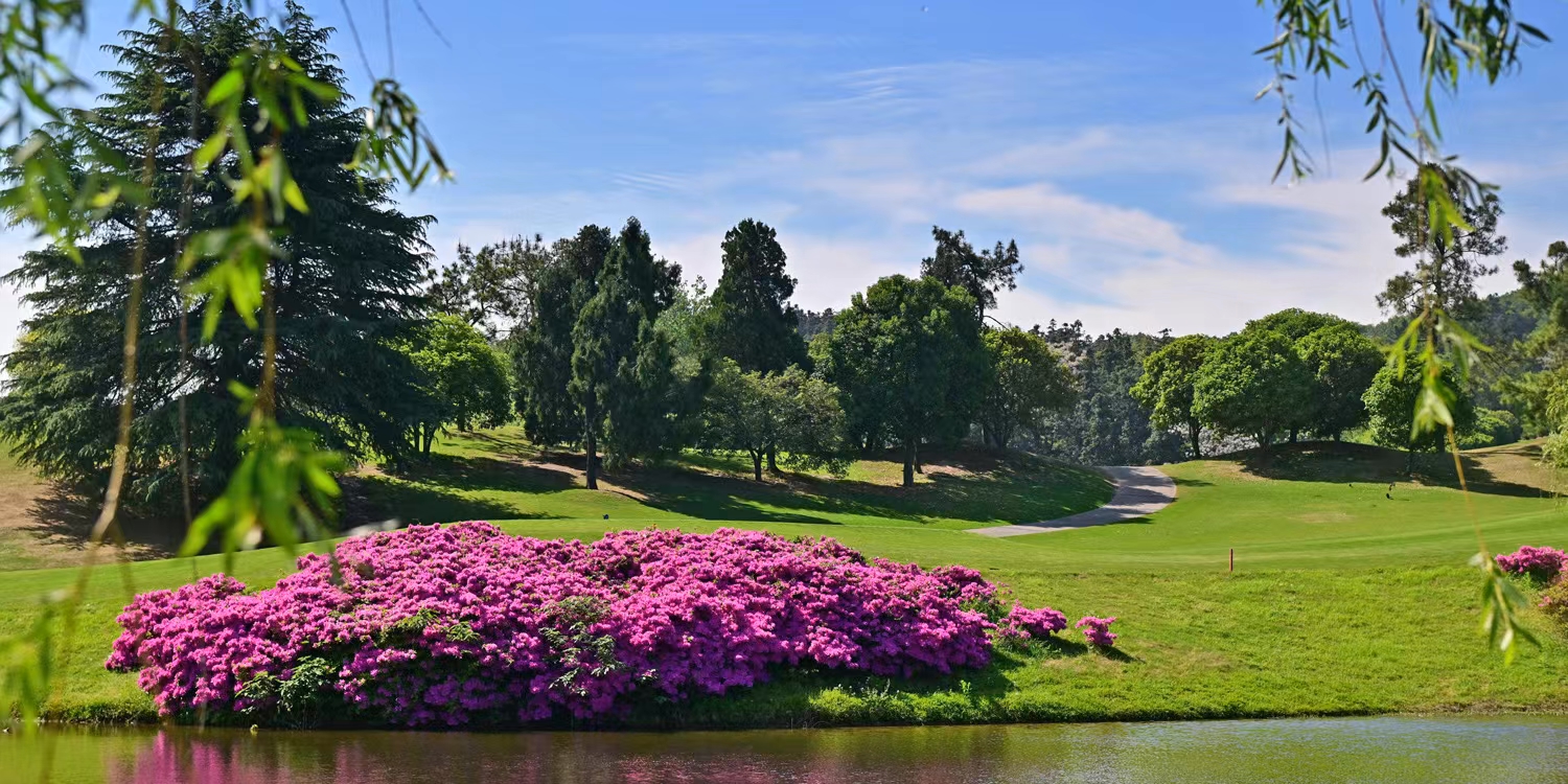 /upload/ilsungtour/image/tourinfo/CN/NKG/ilsungtour_ti0120_30008947.jpg