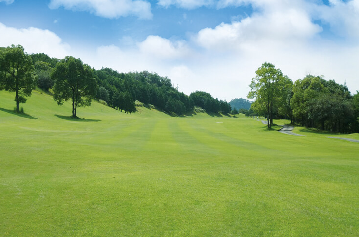 /upload/image/tourinfo/JP/TYO/ilsungtour_ti0120_30001062.png