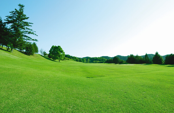/upload/image/tourinfo/JP/TYO/ilsungtour_ti0120_30001065.png