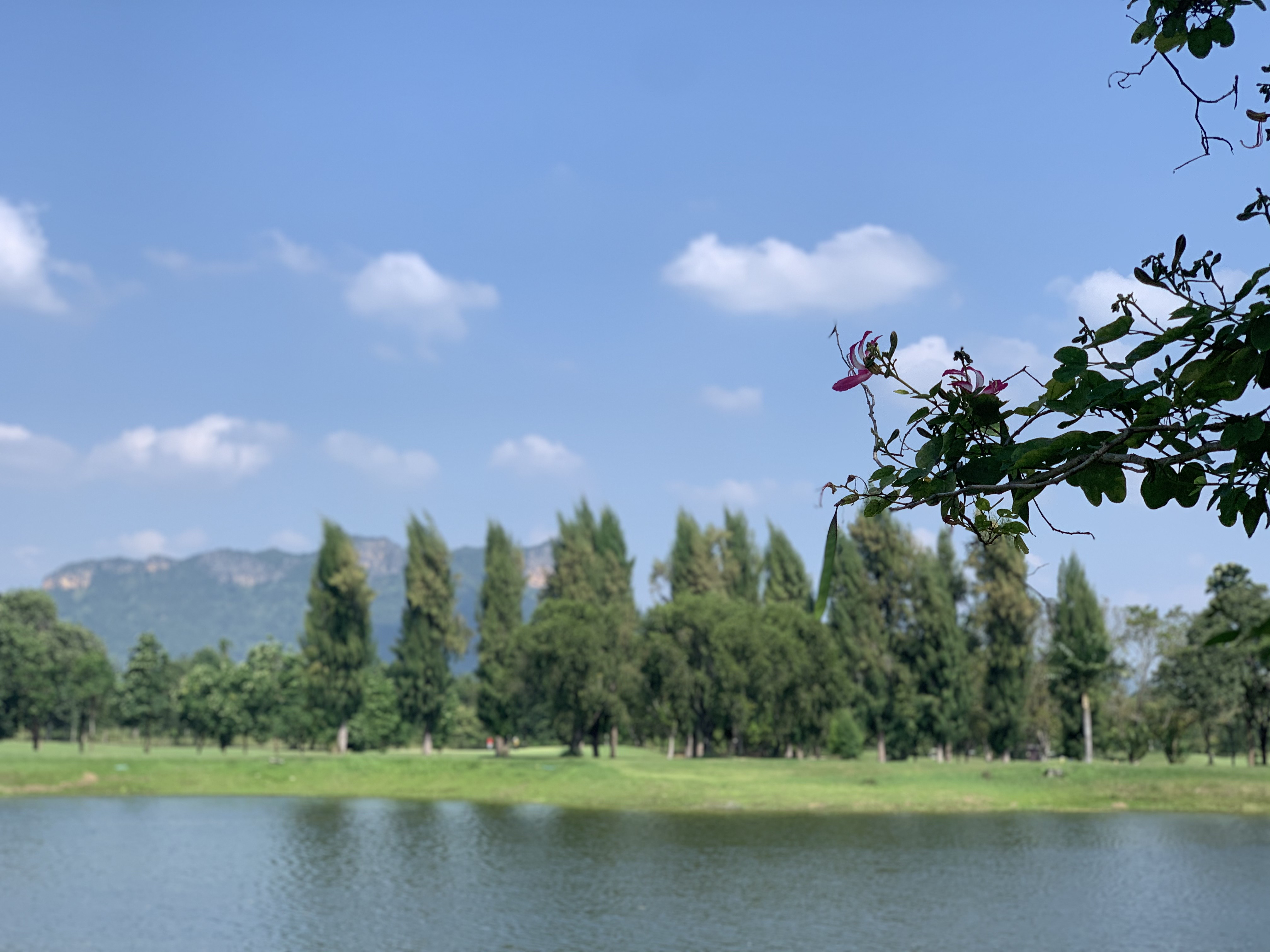 /upload/image/tourinfo/TH/KCB/ilsungtour_ti0120_30000702.jpg